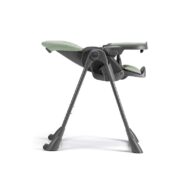 Seggiolone Pappananna Icon Cam 256 - immagine 5